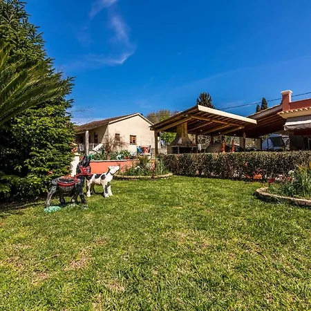 Antonela Sunshine Apartment By Corfu Escapes Perama  Exterior photo